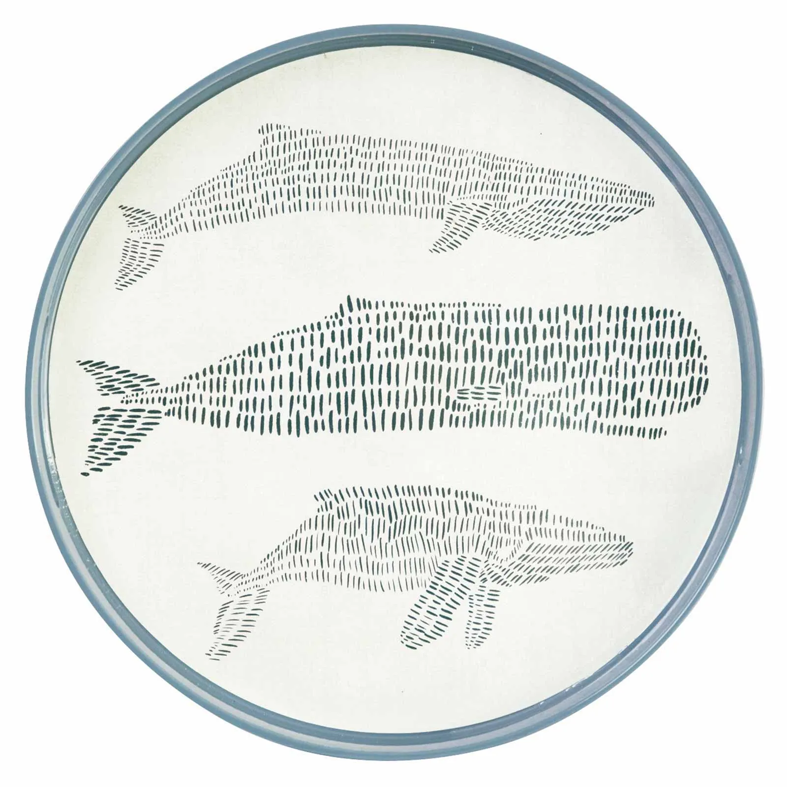 Cadet Blue Whales 15 Inch Round Tray