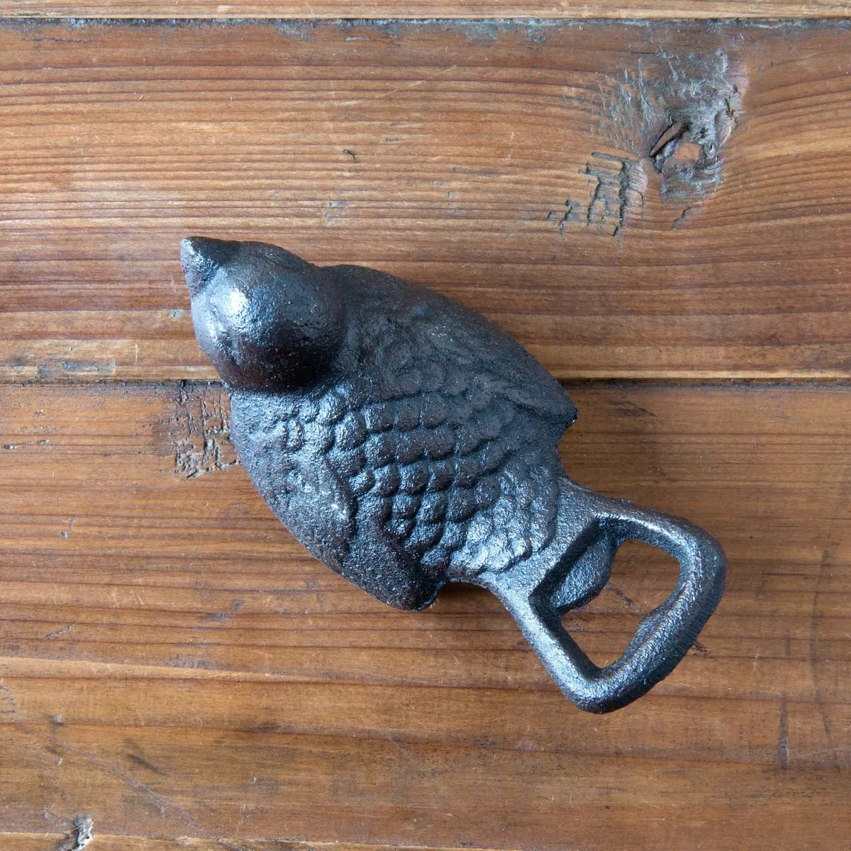 CAST IRON BIRD OPENER