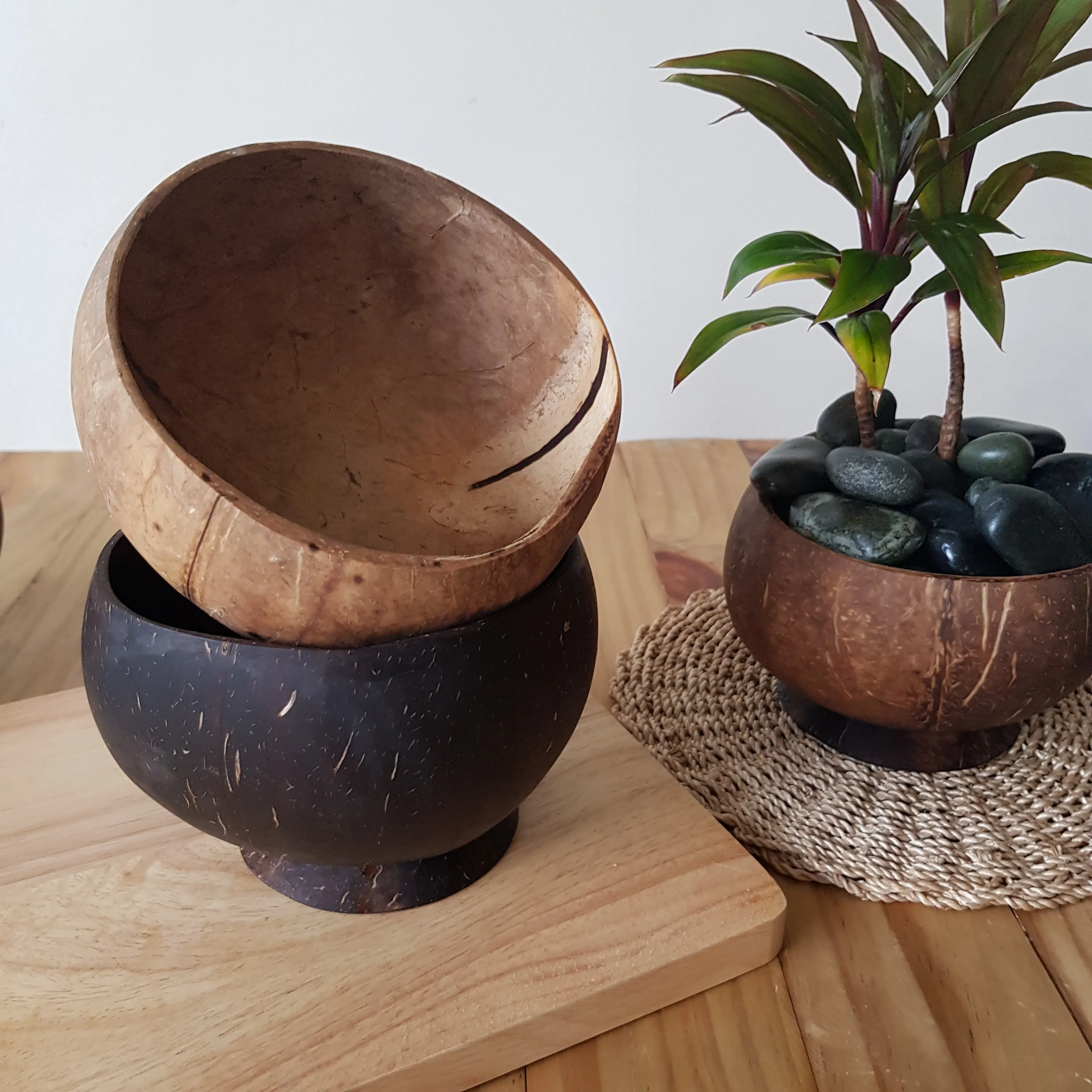 Coconut Bowl