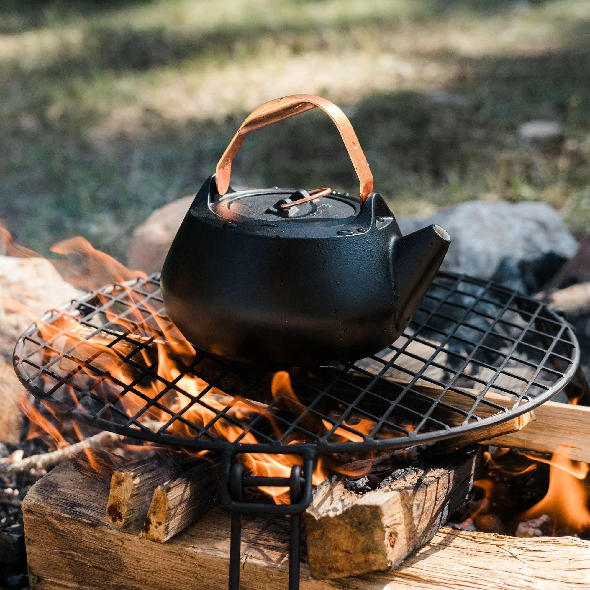 Enamel Lined Cast Iron Teapot