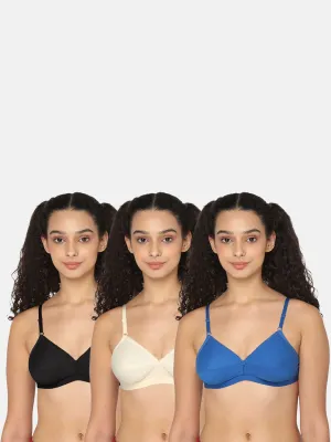 Naidu Hall Trend Heritage Bra Combo Pack – Stylish, Comfortable, and Supportive Bras for Everyday Wear (C35)